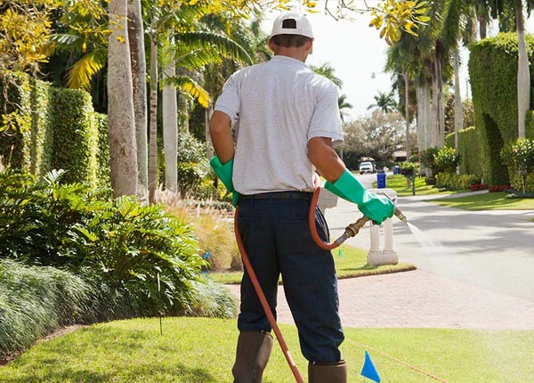 About Ackley IA Pest Control